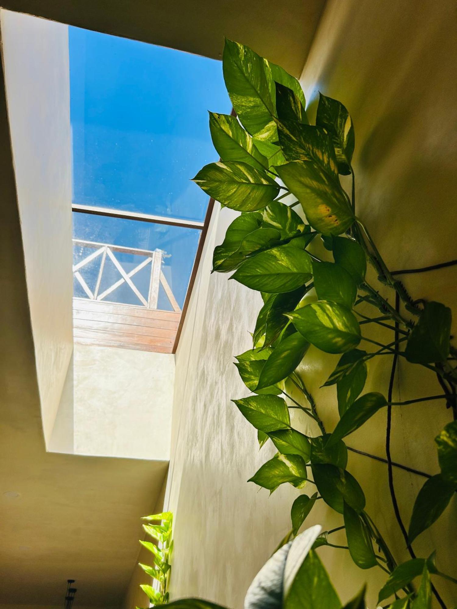Apartamento Sunsteps Casa Holbox Exterior foto